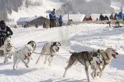 Lenk 2012 SM